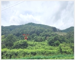  2025Ÿ��10186 ��� ��õ�� û���� ������ 122-3      ����(��1)���