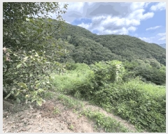  2025Ÿ��10196 ��� ��õ�� û���� ���ݸ� 334      ����(��1)���