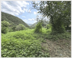  2025Ÿ��10196 ��� ��õ�� û���� ���ݸ� 334      ����(��1)���