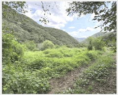  2025Ÿ��10196 ��� ��õ�� û���� ���ݸ� 334      ����(��1)���