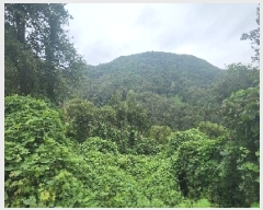  2025Ÿ��10196 ��� ��õ�� û���� ���ݸ� 334      ����(��1)���