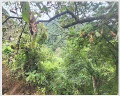  2025Ÿ��10196 ��� ��õ�� û���� ���ݸ� 334      ����(��1)���