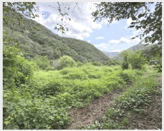  2025Ÿ��10196 ��� ��õ�� û���� ���ݸ� 334      ����(��1)���