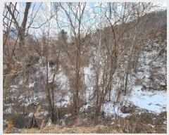  2025Ÿ��46  �����