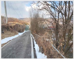  2025Ÿ��46  �����