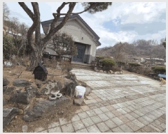  2025Ÿ56  õ ϸ  277-1 1     ð