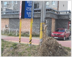  2025Ÿ��67  �ٸ��󰡰��