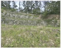  2025Ÿ��71 ��� ��õ�� ���̸� ��ź�� ��23-25      ����(�Ӿ�)���