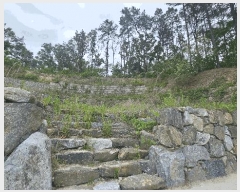  2025Ÿ��71 ��� ��õ�� ���̸� ��ź�� ��23-25      ����(�Ӿ�)���