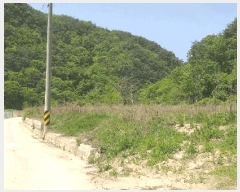  2025Ÿ��73 ��� ������ �л�� ������ 1464-1      ����(��)���