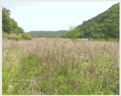  2025Ÿ��73 ��� ������ �л�� ������ 1464-1      ����(��)���