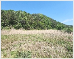  2025Ÿ��73 ��� ������ �л�� ������ 1464-1      ����(��)���