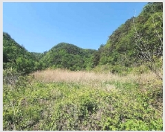  2025Ÿ��73 ��� ������ �л�� ������ 1464-1      ����(��)���