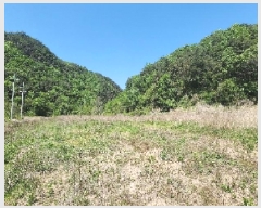  2025Ÿ��73 ��� ������ �л�� ������ 1464-1      ����(��)���