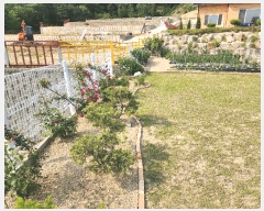  2025Ÿ��81 ��� ��õ�� û��� ���� 172-3      ���ð��