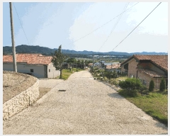  2025Ÿ��81 ��� ��õ�� û��� ���� 172-3      ���ð��