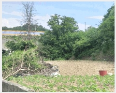  2025Ÿ��86 ��� ������ ������ ���踮 689-15      ����(��1)���