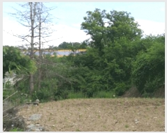  2025Ÿ��86 ��� ������ ������ ���踮 689-15      ����(��1)���