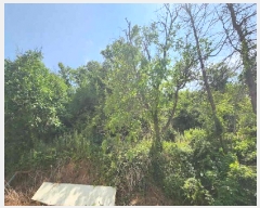  2025Ÿ��86 ��� ������ ������ ���踮 689-15      ����(��1)���