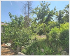  2025Ÿ��86 ��� ������ ������ ���踮 689-15      ����(��1)���