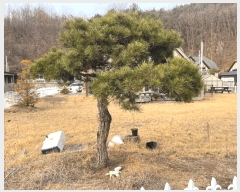  2025Ÿ��10101 ��� ������ �簭�� ������ 38-10      ���ð��