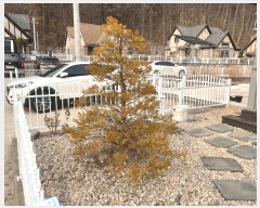  2025Ÿ��10101 ��� ������ �簭�� ������ 38-10      ���ð��