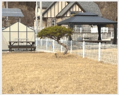  2025Ÿ��10101 ��� ������ �簭�� ������ 38-10      ���ð��