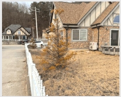  2025Ÿ��10101 ��� ������ �簭�� ������ 38-10      ���ð��