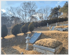  2025Ÿ��10104  �Ӿ߰��