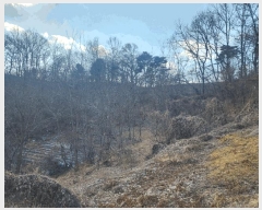  2025Ÿ��10104  �Ӿ߰��