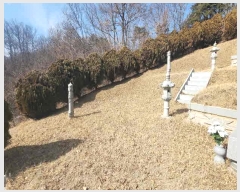  2025Ÿ��10104  �Ӿ߰��