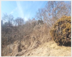  2025Ÿ��10104  �Ӿ߰��