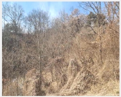  2025Ÿ��10104  �Ӿ߰��