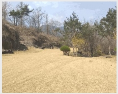  2025Ÿ��10105 ��� ��õ�� ���ϸ� ������ 383-3      ���ð��