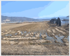  2025Ÿ��10107  ����