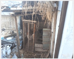  2025Ÿ��10107 ��� ��õ�� û��� �� 286      ���ð��