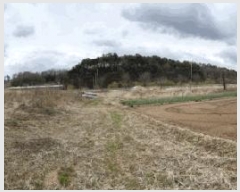  2025Ÿ��10122 ��� ��õ�� û��� ������ 500      ����(��)���