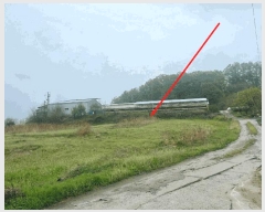  2025Ÿ��10128 ��� ��õ�� ��õ�� ���븮 59      ����(������)���