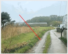  2025Ÿ��10128 ��� ��õ�� ��õ�� ���븮 59      ����(������)���