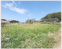  2025Ÿ��10128 ��� ��õ�� ��õ�� ���븮 59      ����(������)���