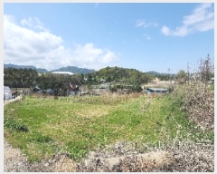  2025Ÿ��10128 ��� ��õ�� ��õ�� ���븮 59      ����(������)���