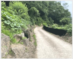  2025Ÿ��10147 ��� ��õ�� ���̸� ��� ��58      ����(�Ӿ�)���