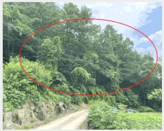  2025Ÿ��10147 ��� ��õ�� ���̸� ��� ��58      ����(�Ӿ�)���