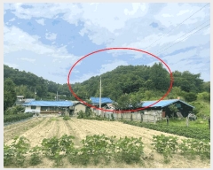  2025Ÿ��10147 ��� ��õ�� ���̸� ��� ��58      ����(�Ӿ�)���