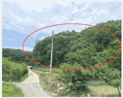  2025Ÿ��10147 ��� ��õ�� ���̸� ��� ��58      ����(�Ӿ�)���