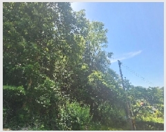  2025Ÿ��10147 ��� ��õ�� ���̸� ��� ��58      ����(�Ӿ�)���