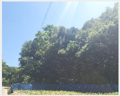  2025Ÿ��10147 ��� ��õ�� ���̸� ��� ��58      ����(�Ӿ�)���