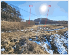  2025Ÿ��150  ����