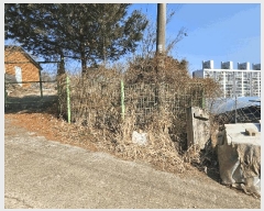  2025Ÿ��426  â�����