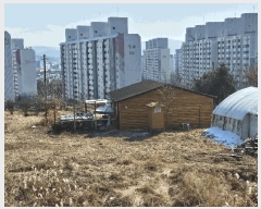  2025Ÿ��426  â�����